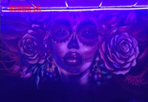 Graffiti Mural Catrina 3d Luz Negra 300x100000